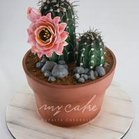 Torta "Cactus en flor"