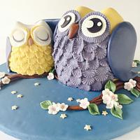 Baby shower Owl cake.