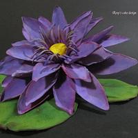Water Lily in gum paste