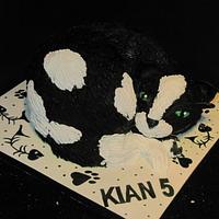 kitty cat cake