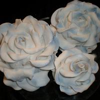 Rose Cakes 
