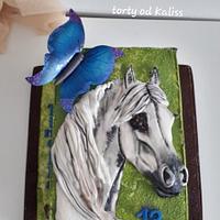 Birthday horse for Timejka