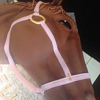 Horse Cake.