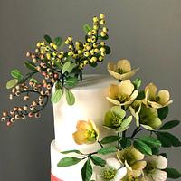 Winter Helleborus niger and berries cake!...