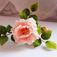 Doubled bush rose in gumpaste