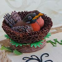 Rustic Cake with Robins