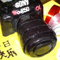 Sony A850 Camera Cake
