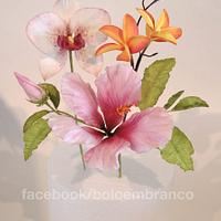 Tropical flowers - Hibiscus, Plumeria, Orchid