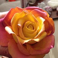Just Playing!!! Yellow and Pink Gum Paste Rose