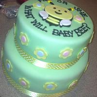 Boy or Girl? Baby Shower Cake
