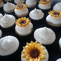 Sunflower cupcakes!