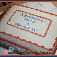 Graduation Cake University of Illinois