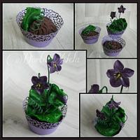 Cupcakes with Violets