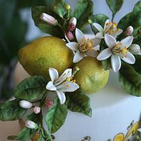 Lemons and Zagara flowers