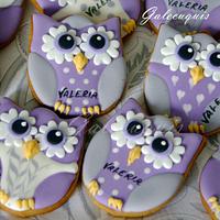 Owls Owls
