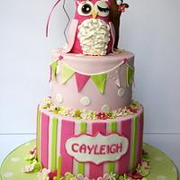 Pink and Green Owl