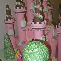Disney Princess Fairytale Castle.