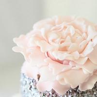 Shiny Blush Damask Bridal Shower Cake