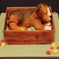 3D doggy cake