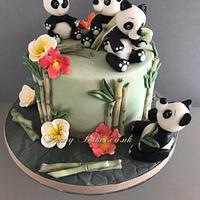 The Panda Bamboo Feast! 