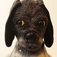 Timo - the black face dog cake