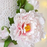Pink Peony and Lace