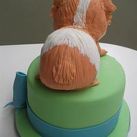 Guinea Pig Cake