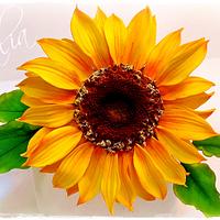  SUNFLOWER :-)