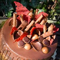 Chocolate drip cake
