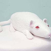Handpainted rat birthdaycake
