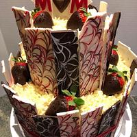 Chocolate covered Strawberry Cake