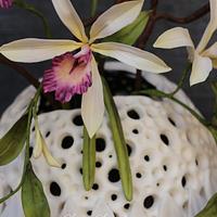 Flower pot cake with Vanilla orchids
