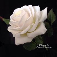 White sugar rose.