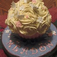Party Cake for Meadow 