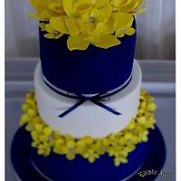 Navy And Yellow