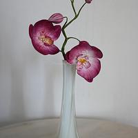 Gumpaste Phalaenopsis Orchids