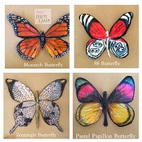 Gallery of Exotic Butterflies
