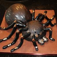 Tarantula cake