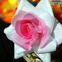 Wafer Paper Ombre Rose 