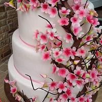 Wedding cake with cherry blossom