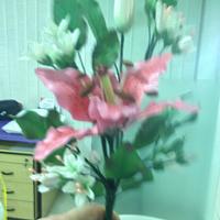 Stargazer pink bouquet 