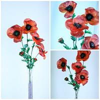 Wafer paper Poppies 
