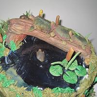 Turtle birthday cake