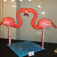 The Love of 2 Red Flamingos