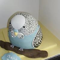 Budgie thank you cake