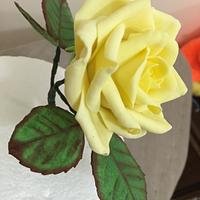 Yellow Roses 💛💛💛