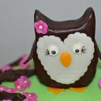 Owl 1st Birthday Cake + Smash Cake!