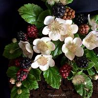 Metamorphosis Blackberries