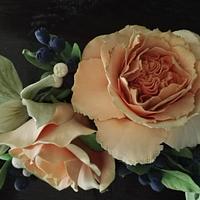Rose anglaise et myrtilles