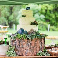 Textured Succulent Wedding Cake
